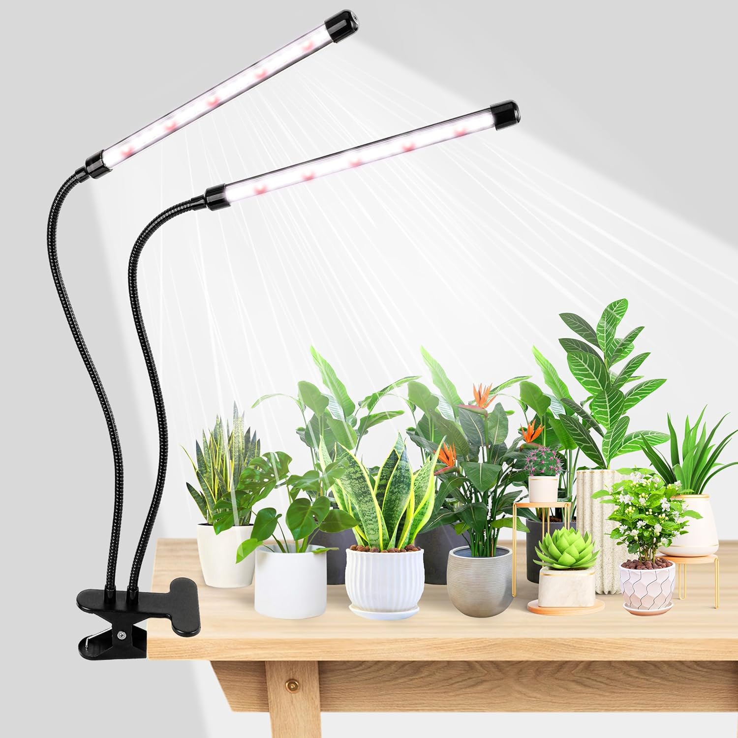 Hydroponic Grow Pod - KEBINCPLED USB 5V 클립형 식물 재배