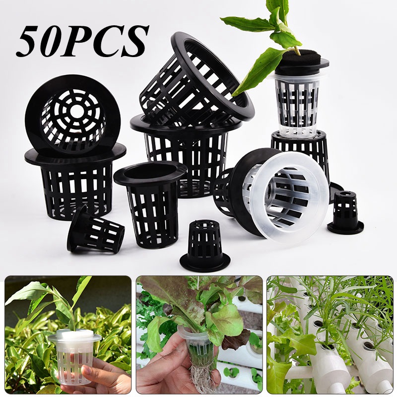 Hydroponic Grow Pod - 50개입 블랙 화이트 무토양 메쉬 식물
