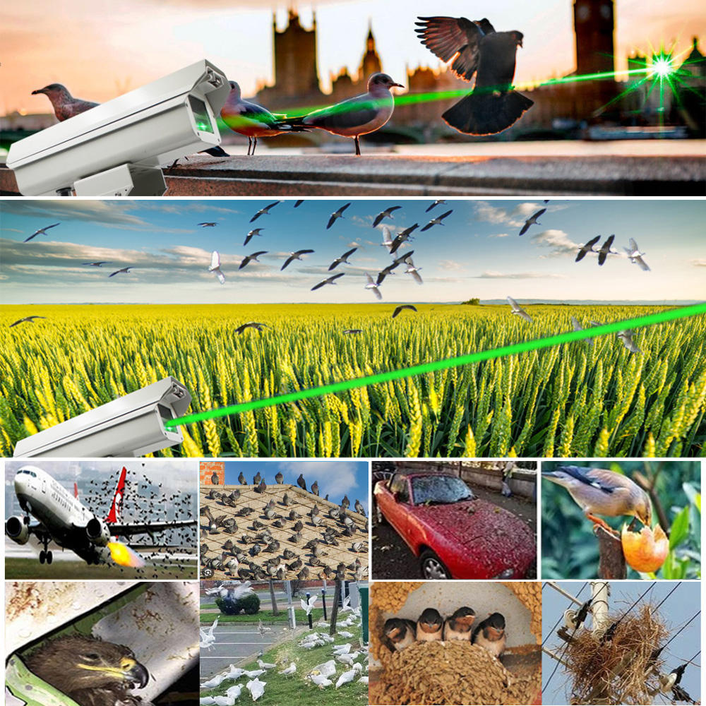 스마트 조류 퇴치기 강력한 그린 AI 트리거 레이저 공 - Smart Garden Is 리뷰 및 가격