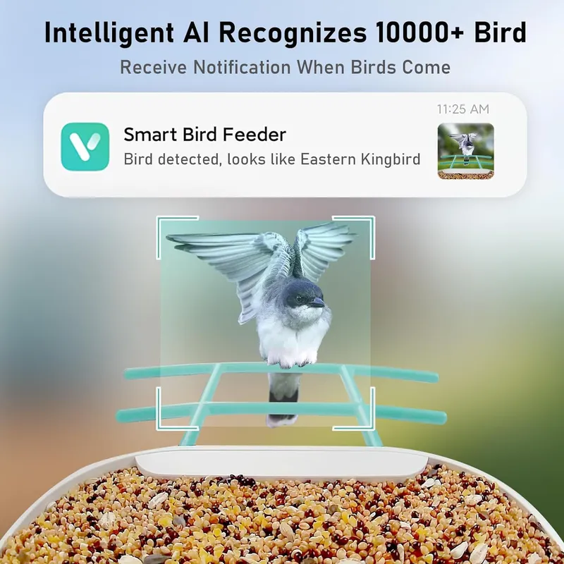 AI 인식 기능을 갖춘 스마트 새 먹이 공급기 카메라, - Smart Garden Video 리뷰 및 가격