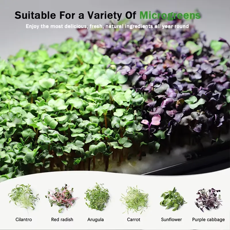 크리스마스 선물 아이디어 DIY 가정용 걸이형 자동 급 - Smart Garden Ideas 리뷰 및 가격