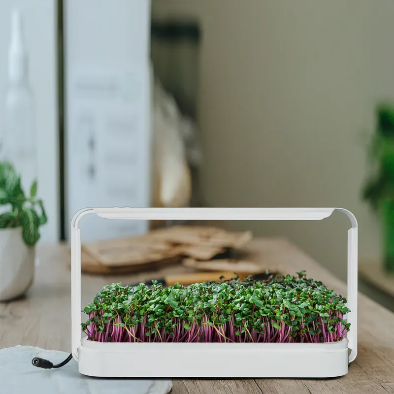 실내 허브 가든 재배 조명 온실 키트 선물 아이디어 L - Smart Garden Ideas 리뷰 및 가격