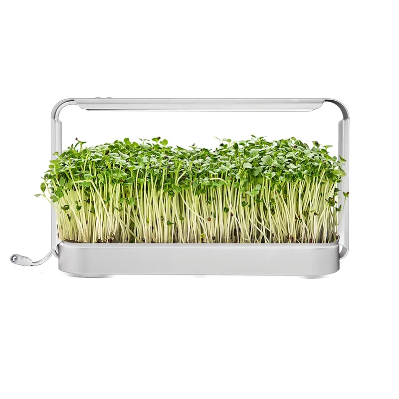 실내 허브 가든 재배 조명 온실 키트 선물 아이디어 L - Smart Garden Ideas 리뷰 및 가격