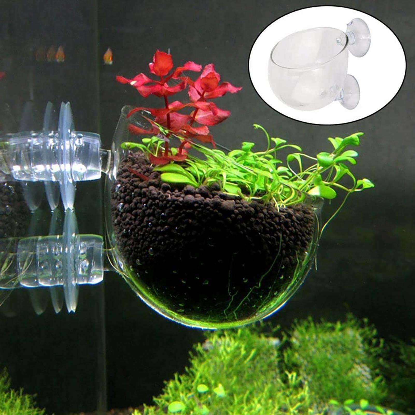 수생 식물 화분 흡착 컵이 있는 투명 아크릴 수족관 화 - Hydroponic Grow Pod 리뷰 및 가격
