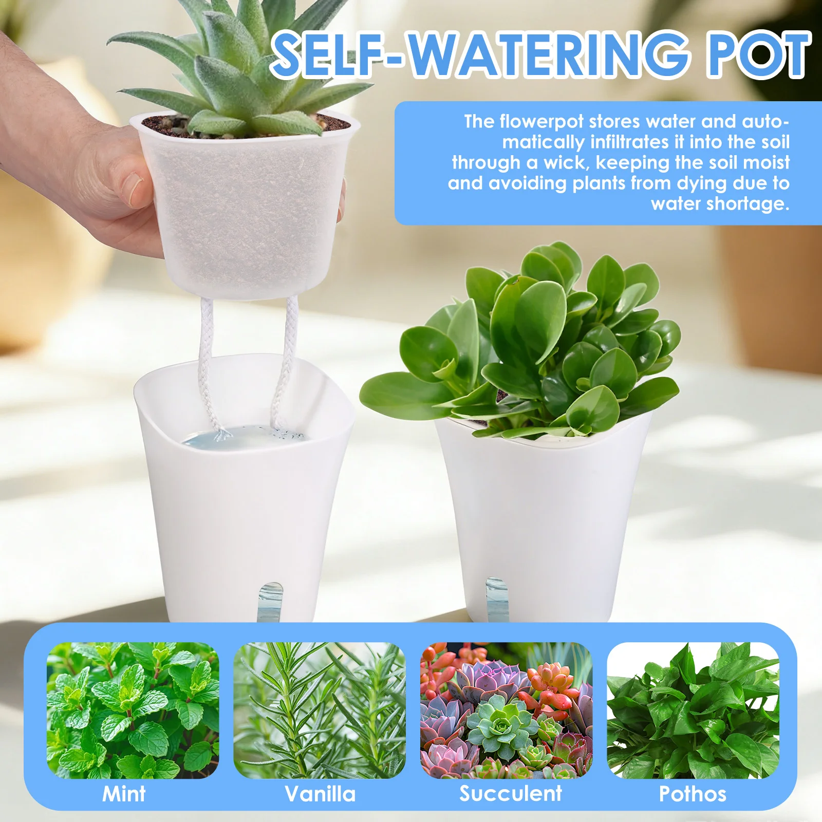 10개 자가 급수 화분, 게으른 사람들을 위한 수경 재 - Hydroponic Grow Pod 리뷰 및 가격