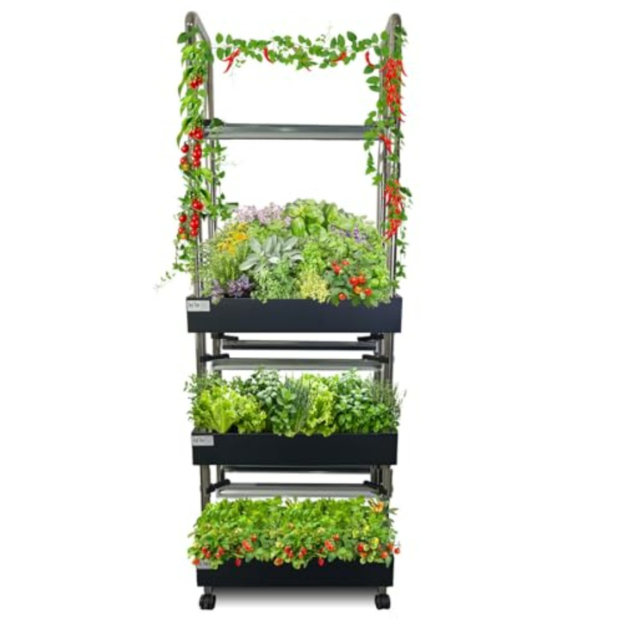 실내 수경재배 시스템: 스마트 풀스펙트럼 조명, 자동  - Smart Garden Light 리뷰 및 가격